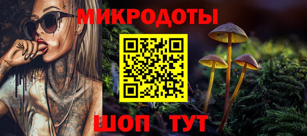 Галлюциногенные грибы мухоморы Димитровград