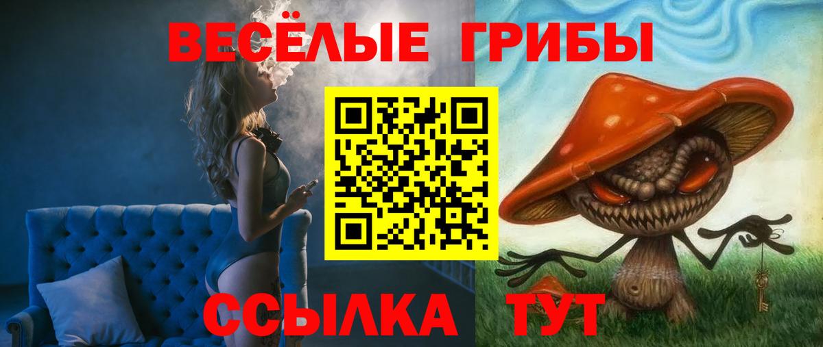 Димитровград  Псилоцибиновые грибы прущие грибы  Вход с VPN 